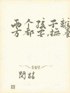 两个孩子离婚女方都要,抚养费怎么算