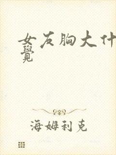 女友胸大什么感觉