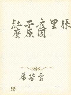 肚子夜里胀是什么原因封面