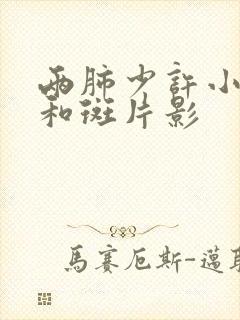 两肺少许小结节和斑片影