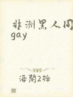 非洲黑人同性男gay