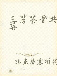 玉茗茶骨共有几集封面