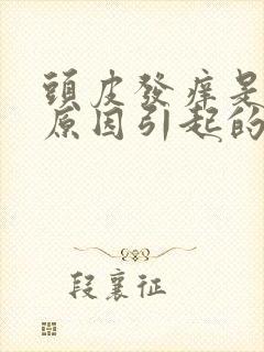 头皮发痒是什么原因引起的