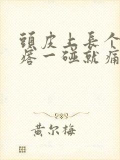 头皮上长个红疙瘩一碰就痛怎么办封面