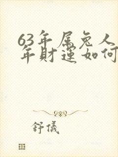63年属兔人今年财运如何