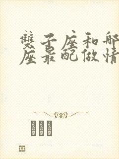 双子座和哪个星座最配做情侣呢