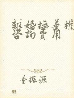 离婚抚养权律师咨询费用封面