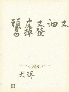 头皮又油又痒容易掉发