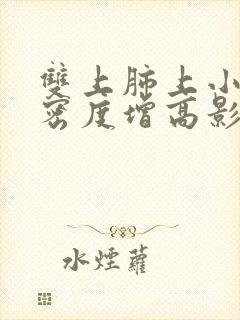 双上肺上小结节密度增高影