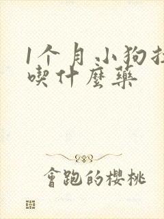 1个月小狗拉稀吃什么药