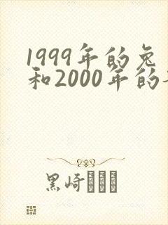 1999年的兔和2000年的龙能结婚吗