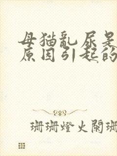 母猫乱尿是什么原因引起的