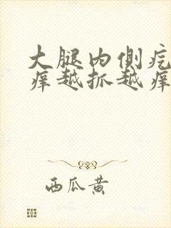 大腿内侧疙瘩痒痒越抓越痒