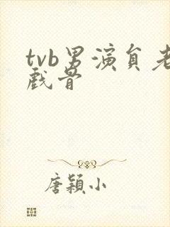 tvb男演员老戏骨