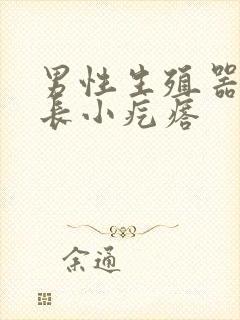 男性生殖器根部长小疙瘩