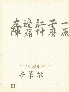 左边肚子一阵一阵痛什么原因