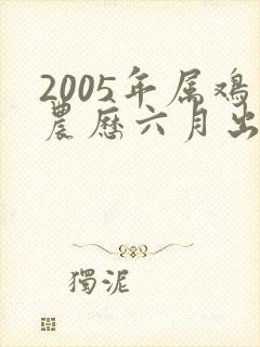 2005年属鸡农历六月出生命运