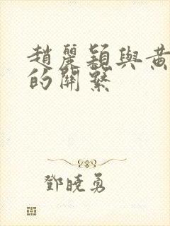 赵丽颖与黄晓明的关系