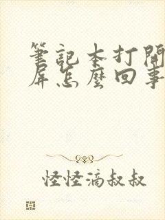 笔记本打开是黑屏怎么回事