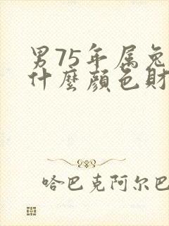 男75年属兔的什么颜色财运好