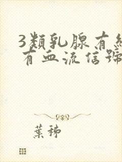 3类乳腺有结节有血流信号