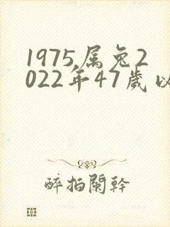 1975属兔2022年47岁以后运气