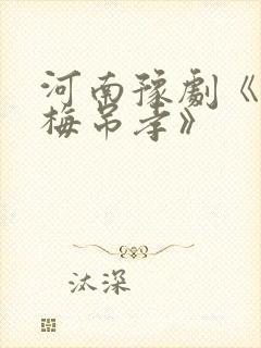 河南豫剧《秦雪梅吊孝》封面