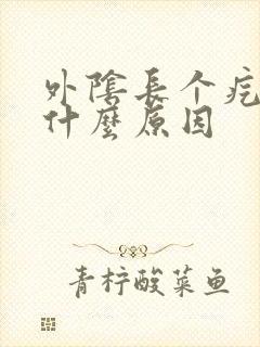 外阴长个疙瘩是什么原因