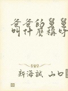 爸爸的舅舅儿子叫什么称呼