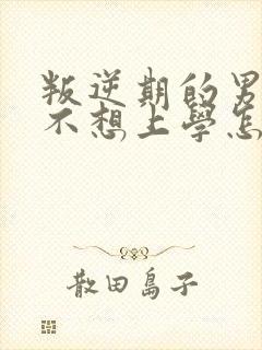 叛逆期的男孩子不想上学怎么办