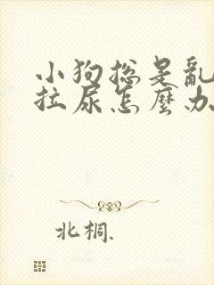 小狗总是乱拉屎拉尿怎么办