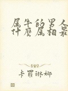 属牛的男人婚配什么属相最好