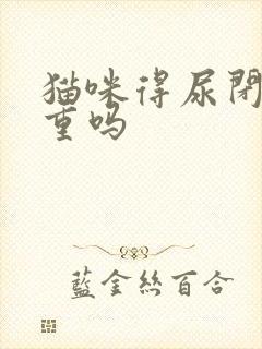 猫咪得尿闭很严重吗封面