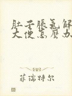 肚子胀气解不出大便怎么办封面