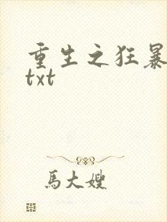 重生之狂暴火法txt