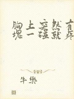 胸上突然有个硬块一碰就疼