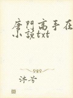 唐门高手在异世小说txt