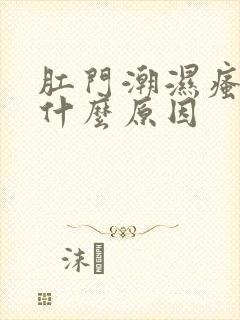 肛门潮湿瘙痒是什么原因