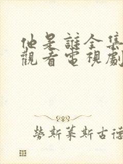 他是谁全集免费观看电视剧高清