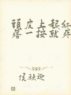 头皮上起红色疙瘩一按就疼封面