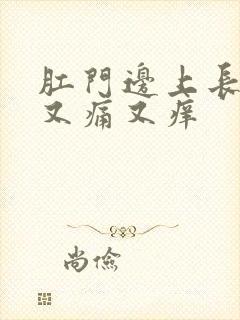 肛门边上长疙瘩又痛又痒