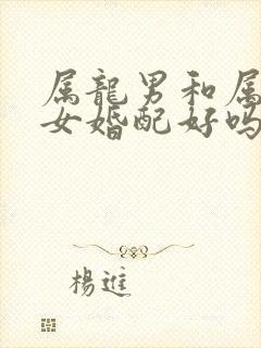 属龙男和属兔的女婚配好吗封面