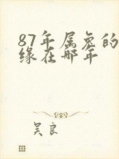 87年属兔的姻缘在哪年