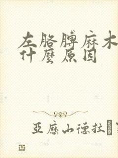 左胳膊麻木疼痛什么原因