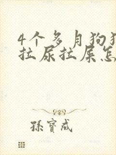 4个多月狗狗乱拉尿拉屎怎么办