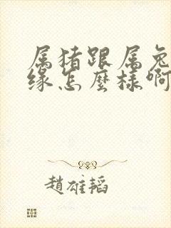 属猪跟属兔的姻缘怎么样啊