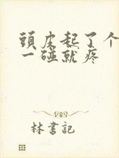 头皮起了个疙瘩一碰就疼