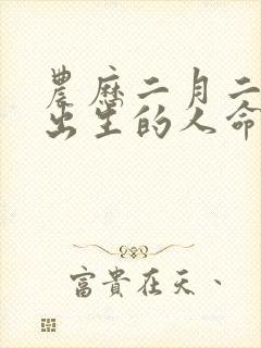 农历二月二十六出生的人命运