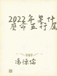 2022年是什么命五行属什么命