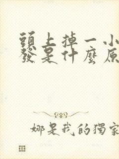 头上掉一小块头发是什么原因